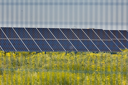 草光伏发电外面的太阳能电池板力量技术晴天栅栏细胞控制板光伏生态场地天空图片