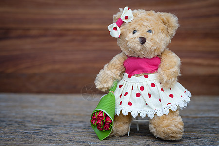 熊青少年玫瑰香蕉绿色裙子玩具娃娃女朋友故事白色背景图片
