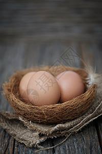 生鸡蛋鸡蛋对身体有益解雇农场午餐母鸡羽毛团体烹饪美食乡村干草背景