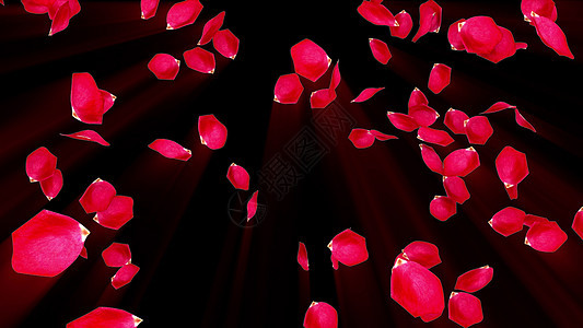 计算机生成的玫瑰花瓣从上到下飘落 花瓣雨 浪漫背景的 3d 渲染念日庆典树叶射线假期蜜月玫瑰礼物旋转婚礼图片