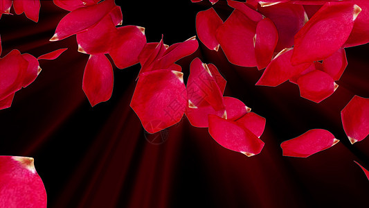 计算机生成的玫瑰花瓣从上到下飘落 花瓣雨 浪漫背景的 3d 渲染旋转飞行婚礼庆典树叶电脑婚姻念日礼物射线图片