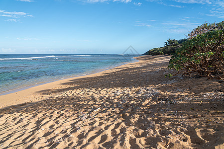 扎克伯格卡瓦伊东海岸的拉森海滩热带海岸冲浪土地脚步声海浪天堂海洋旅行海滩背景