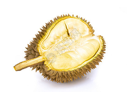 白背景孤立的Durian妇女热带水果图片