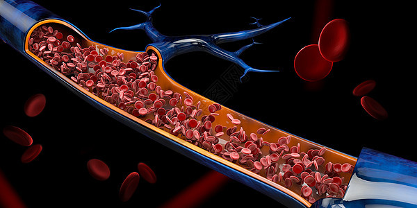 3d 红色血细胞的静脉说明图片