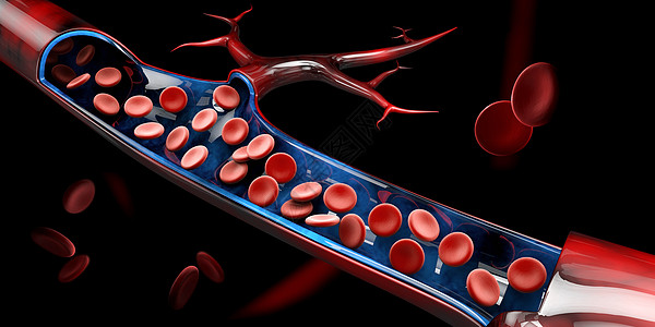 3d 红血细胞静脉说明图片
