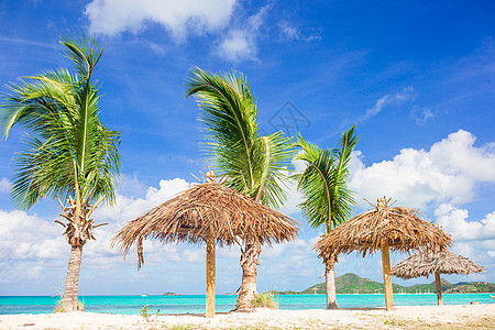 有白沙 绿绿海海水和大棕榈树的长堤热带海滩美人鱼假期海洋天堂支撑海岸线晴天旅行植物风景背景图片