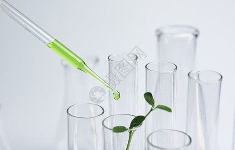 带有含液体的玻璃实验室化学测试管的研究员管子技术药品化学品器皿学习化学烧瓶蓝色诊所图片