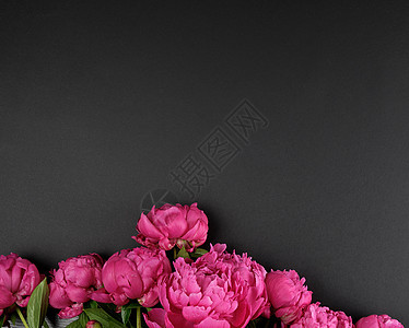 黑色背景上一束带绿叶的红牡丹工作室植物群牡丹叶子花束卡片花瓣美丽婚礼植物图片