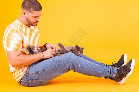 年轻人在演播室用黄色背景来摸猫肚子猫舍关爱男性耳朵工作室猫科动物微笑感情拥抱眼睛图片