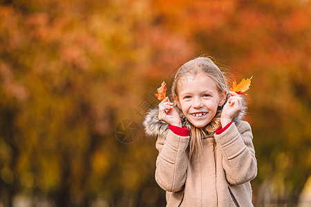 在美丽的秋天户外的美丽秋天 可爱的小女孩公园乐趣童年孩子活动晴天季节幸福叶子天气图片