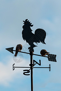 风下公鸡烟囱阵风天空狂风轴承空气天气鸽子罗盘风向标图片