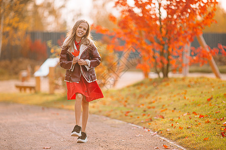 在美丽的秋天户外的美丽秋天 可爱的小女孩草地活动公园乐趣幸福喜悦孩子们童年叶子快乐图片