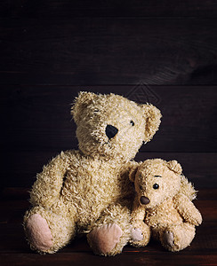 两只棕色软泰迪熊坐着图片