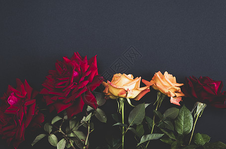 五朵盛开的玫瑰 在黑色背景上 古老的陈年图片