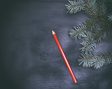 红木铅笔和一棵fir树的绿树枝图片
