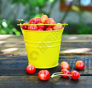 黄铁桶中红樱桃图片