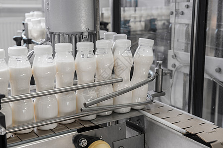 牛奶厂的设备腰带商业机械瓶子奶制品工作输送带生产食物饮料图片