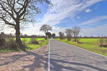田地和树林的乡村道路风景美丽街道沥青国家农村农田树木远足小路蓝色农业背景图片