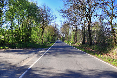 田地和树林的乡村道路风景美丽车道场地旅行农村曲线蓝色小路森林农业国家图片