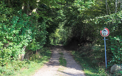 田地和树林的乡村道路风景美丽人行道车道地平线曲线天空场地树木草地木头踪迹图片