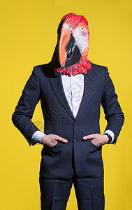 黄色背景上戴着鹦鹉面具的男人图片