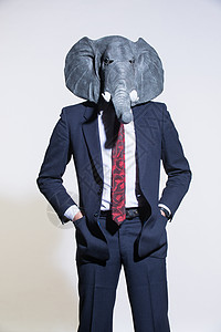 浅色背景上戴着大象面具的男人工作动物衣冠男性多样性白色夹克戏服首席成人图片