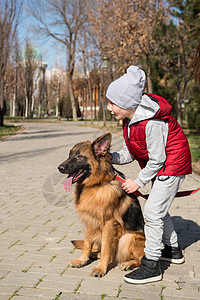 男孩带着宠物走路树木动物乐趣幸福公园友谊闲暇童年拥抱孩子图片