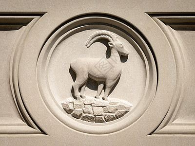 Zodiac 摩角石在石头上的标志图片