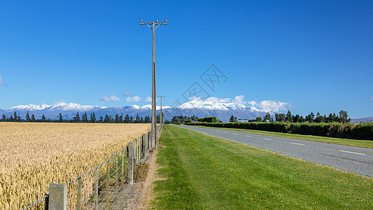 新西兰南部泰勒山和赫特山的景象天气玉米森林电线杆公园全景情绪房屋树木植物图片