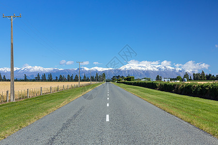 新西兰南部泰勒山和赫特山的景象玉米森林场地树木天气全景栅栏情绪蓝色街道图片
