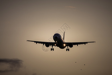 日落天空中的空中飞机人心运动运输情绪平底锅天空速度空气喷射旅游图片