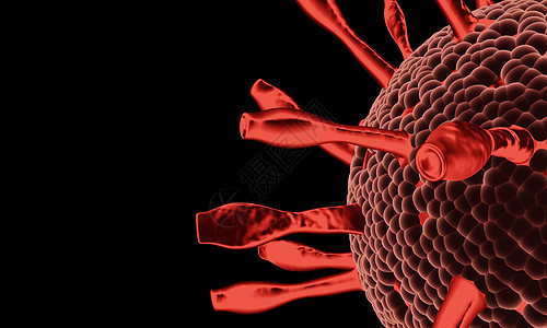 Covid-19 病毒 nCoV 概念 抽象细菌或病毒细胞图片