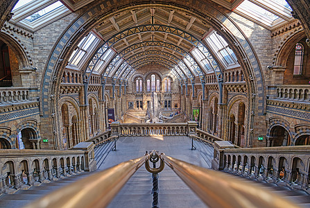 联合王国伦敦自然历史博物馆英国伦敦博物馆纪念碑历史吸引力游客旅游展示建筑学骨骼观光图片