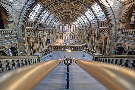 联合王国伦敦自然历史博物馆英国伦敦建筑历史游客地标观光旅游骨骼吸引力旅行展示图片