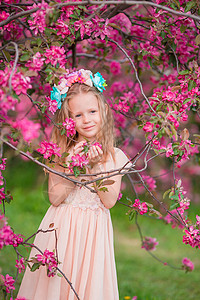 在美丽的春日 在盛开的苹果园里 可爱的小女孩花园苹果树花朵女孩园艺公园水果眼睛童年微笑图片