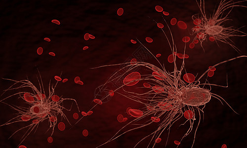 细菌的鞭毛或鞭毛攻击红血解剖学渲染黑色细胞流感治疗药品微生物疾病感染图片