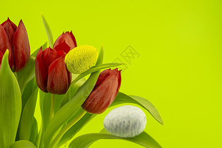 绿色的郁金香和手工制作复活节鸡蛋黄色纪念日风格季节性庆典环境假期色度周年植物图片