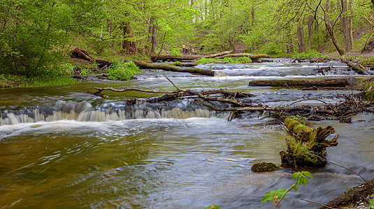自然保护区塔新河中的塔恩河 Nad Tanwia环境湿度国家叶子森林瀑布运动岩石溪流水晶图片