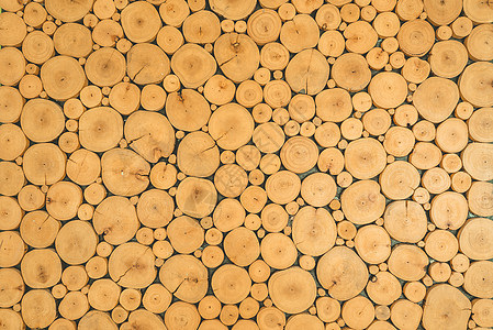 原木背景硬木日志柚木树干压板粮食木材树桩木板地板图片