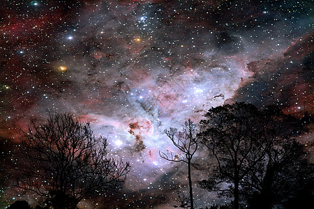 夜云日落时的模糊星系 天空环影枝和树星星爬坡行星地球宇宙星云森林反射吸引力植物图片
