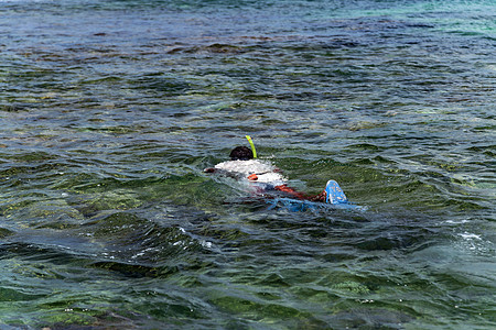 海报水在热带水域浮潜 节约用水 - 生态让步背景