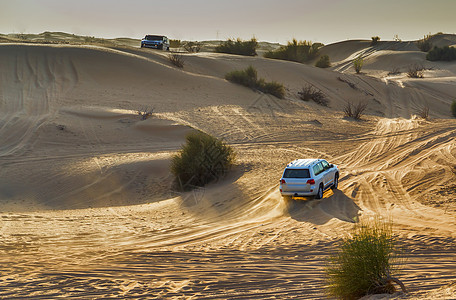 沙漠沙野号上的越野车图片