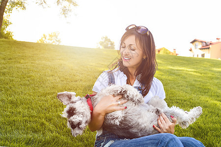 爱动物的概念 最好的朋友 狗种Schnauter 笑声 Schnauzer是养狗的料理房子乐趣友谊眼睛宠物拥抱公园小狗快乐闲暇图片