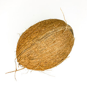 白色背景上的热带孔椰子图片