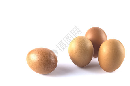 白色背景的新鲜鸡蛋孤立图片