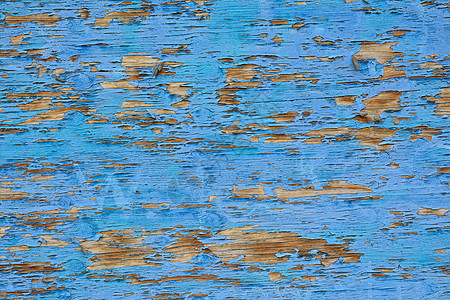 蓝色木材纹理 旧木材纹理墙纸建筑白色硬木桌子控制板木板图片