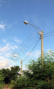 森林中的高压电线杆 农村的电塔 森林中的旧电线杆 电线杆走廊 电线杆 森林中的人行道电源路灯创新环境资源植物灯泡光伏阳光技术天空图片