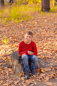 坐在秋天黄色公园的树桩上 穿着红衣的小男孩很快乐图片