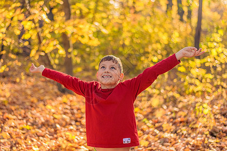 男孩笑得开心 双臂伸向两侧 看着公园中的秋天的天空图片