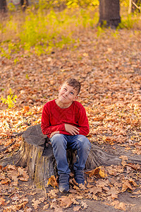 穿着红色毛衣的滑稽男孩 坐在秋天森林的树桩上图片